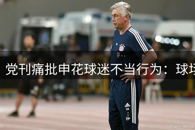 党刊痛批申花球迷不当行为：球场暴力伤害足球未来