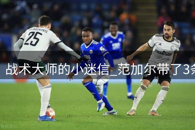 战术大师的小迷信 范加尔带了3条橙色内裤到卡塔尔