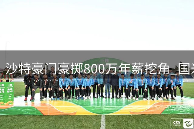 沙特豪门豪掷800万年薪挖角 国米面临帕瓦尔转会关键抉择